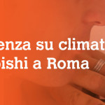 assistenza su climatizzatori Mitsubishi a Roma